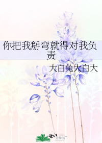 你把我掰弯就得对我负责